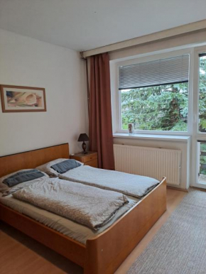Apartmán s terasou Olomouc